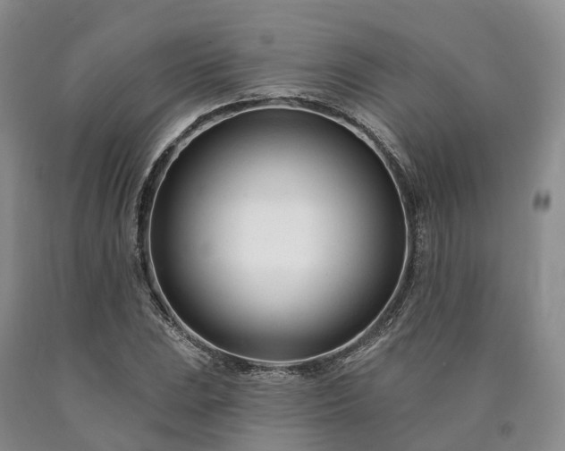 X0000090481023200707201411