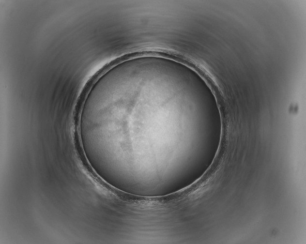 X0000090481024200707201411