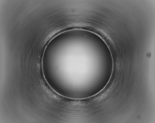 X0000090481025200707201411