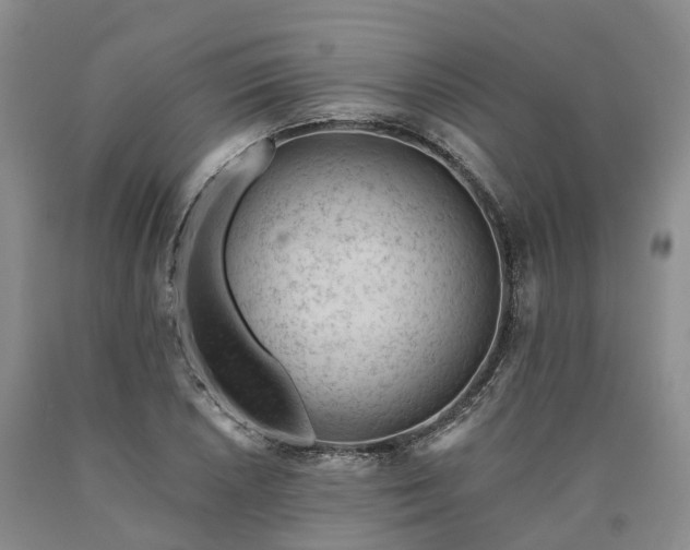 X0000090481026200707201411