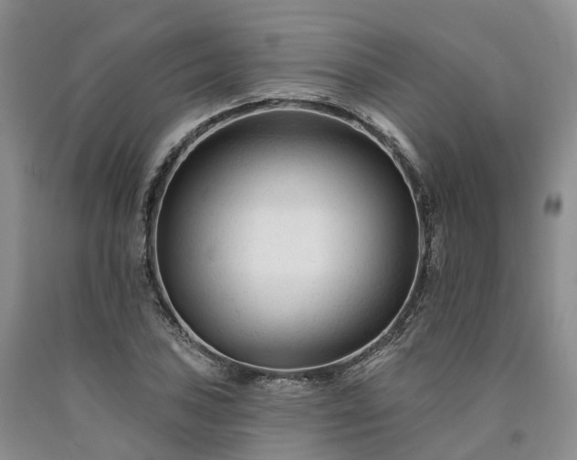 X0000090481027200707201411