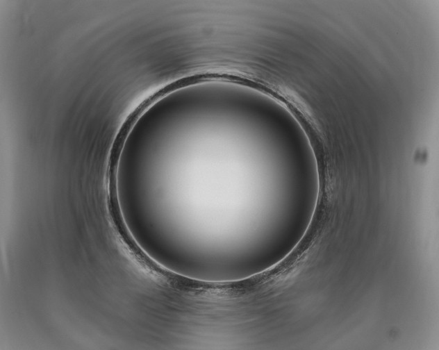 X0000090481028200707201411