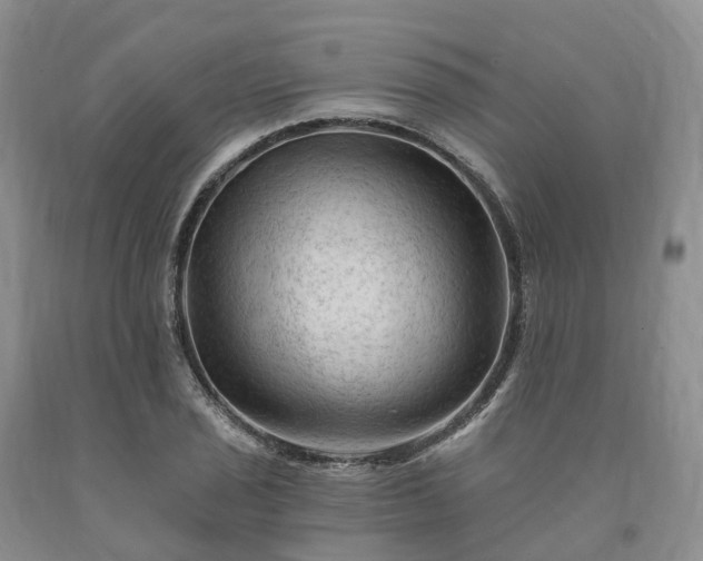 X0000090481029200707201411