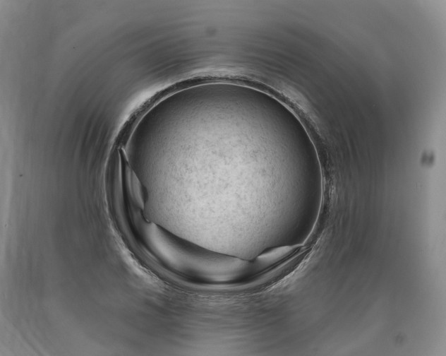 X0000090481030200707201411