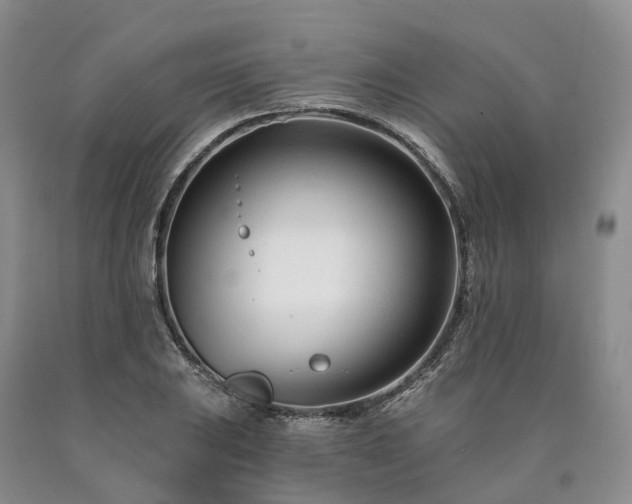 X0000090481031200707201411