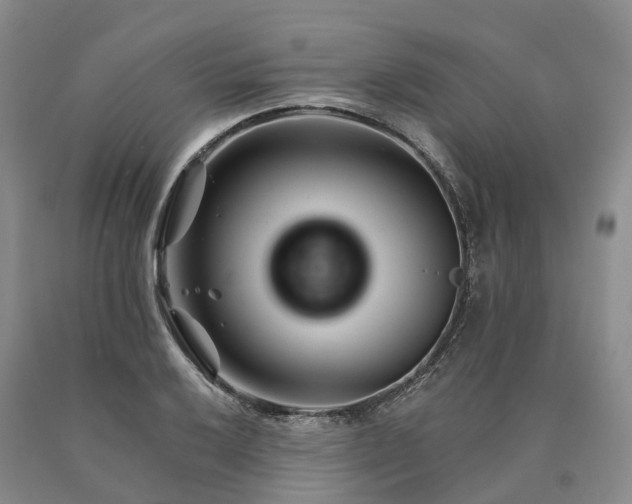 X0000090481032200707201411