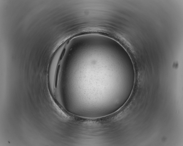 X0000090481033200707201411