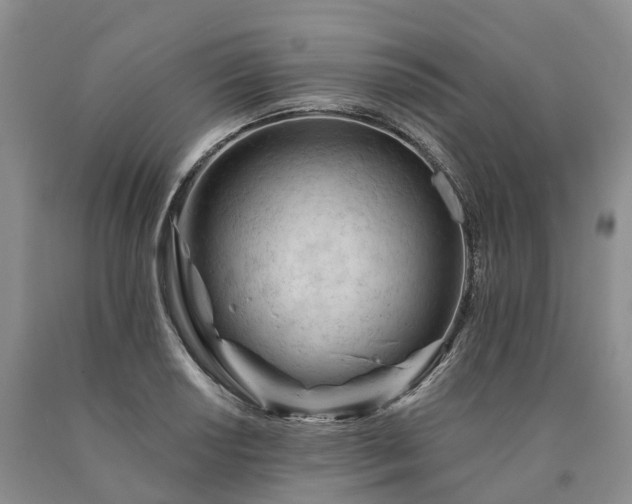 X0000090481034200707201411