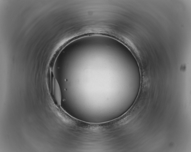 X0000090481035200707201411