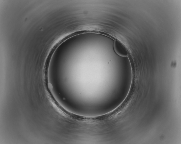 X0000090481037200707201411