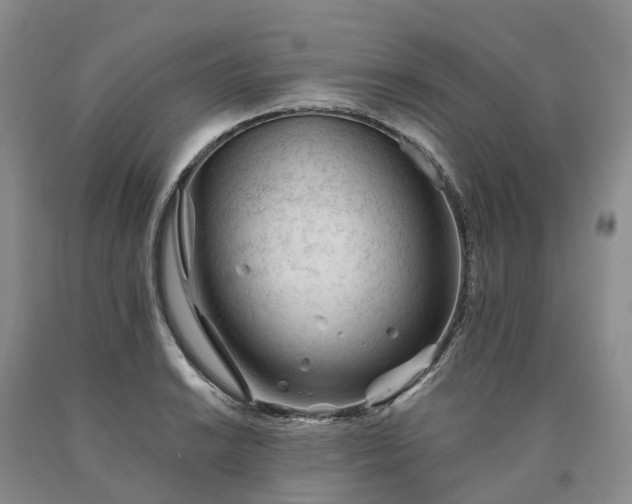 X0000090481038200707201411