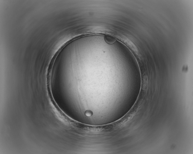 X0000090481039200707201411