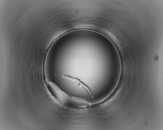 X0000090481041200707201411