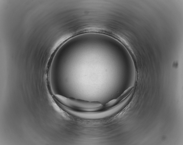 X0000090481042200707201411