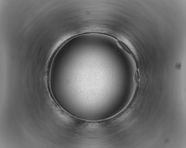 X0000090481043200707201411