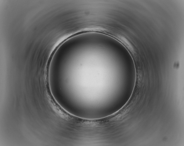 X0000090481044200707201411