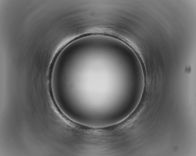 X0000090481045200707201411