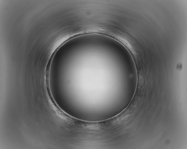 X0000090481047200707201411
