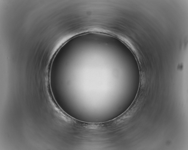 X0000090481048200707201411