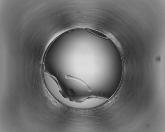 X0000090481052200707201411