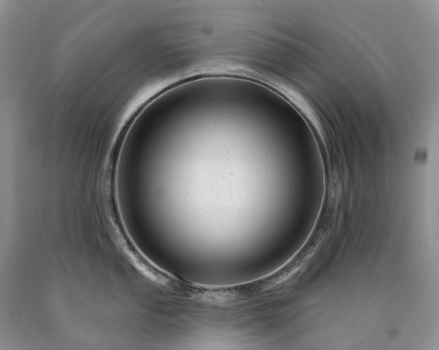 X0000090481053200707201411