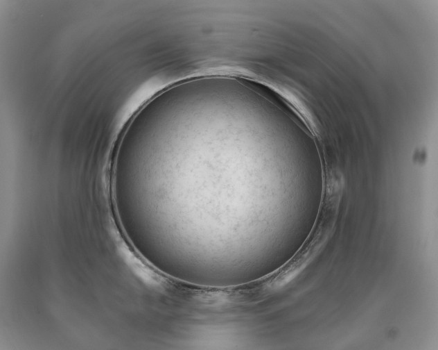 X0000090481054200707201411