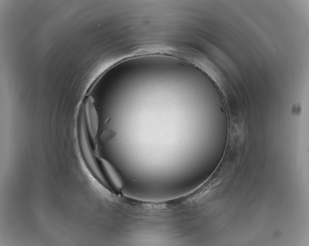 X0000090481055200707201411