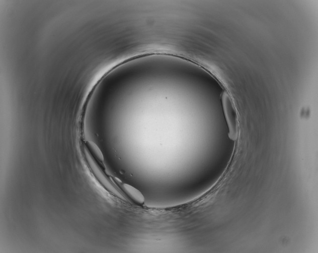 X0000090481056200707201411