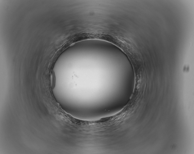 X0000090481057200707201411