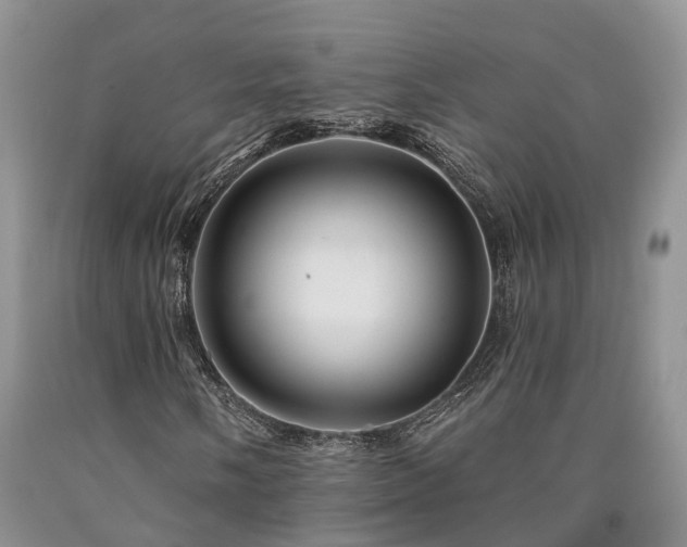 X0000090481058200707201411