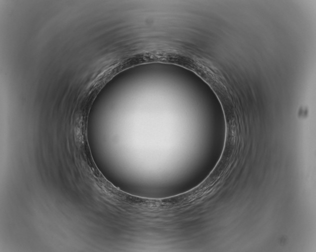 X0000090481060200707201411