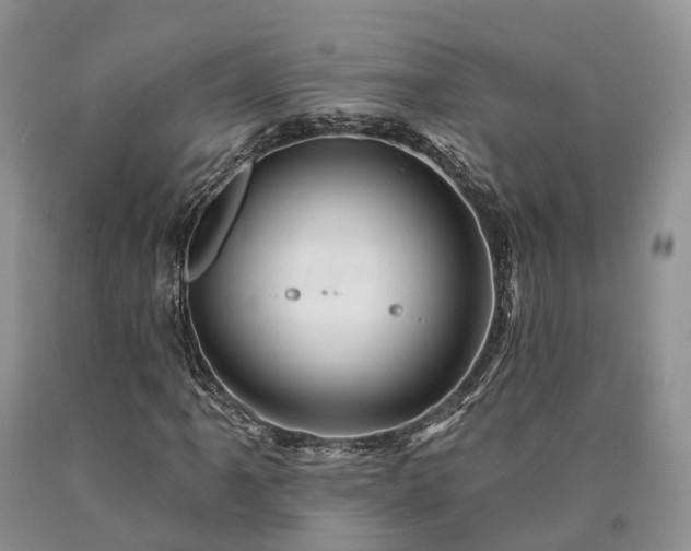 X0000090481061200707201411