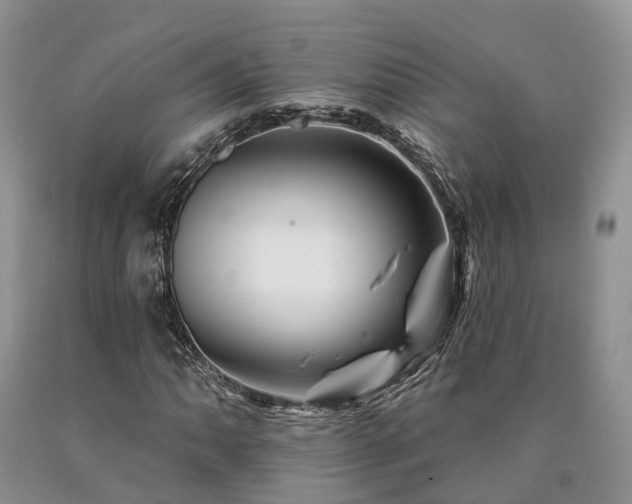 X0000090481062200707201411
