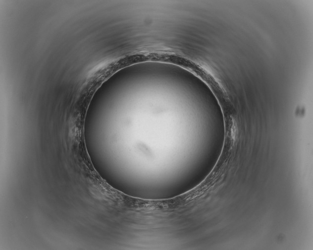 X0000090481063200707201411