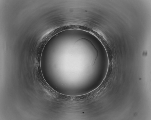 X0000090481064200707201411