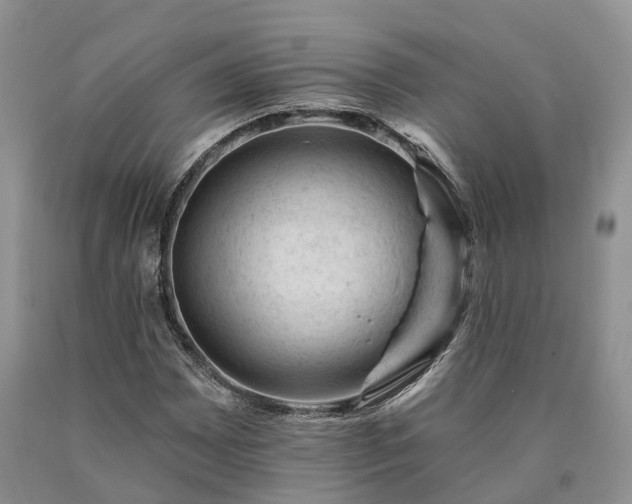 X0000090481065200707201411