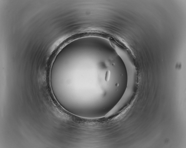 X0000090481066200707201411