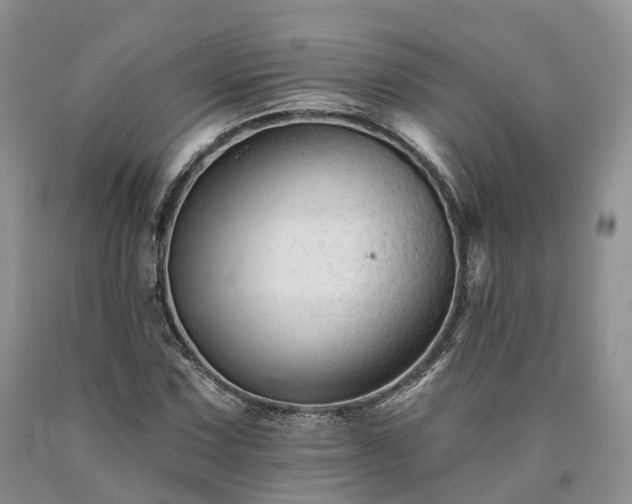 X0000090481067200707201411