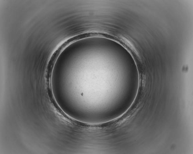 X0000090481068200707201411