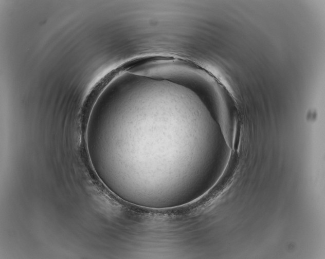 X0000090481069200707201411