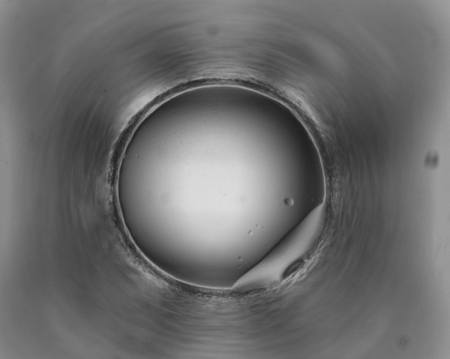 X0000090481071200707201411