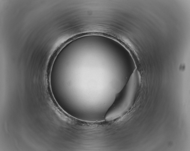 X0000090481072200707201411