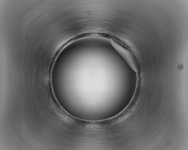 X0000090481073200707201411
