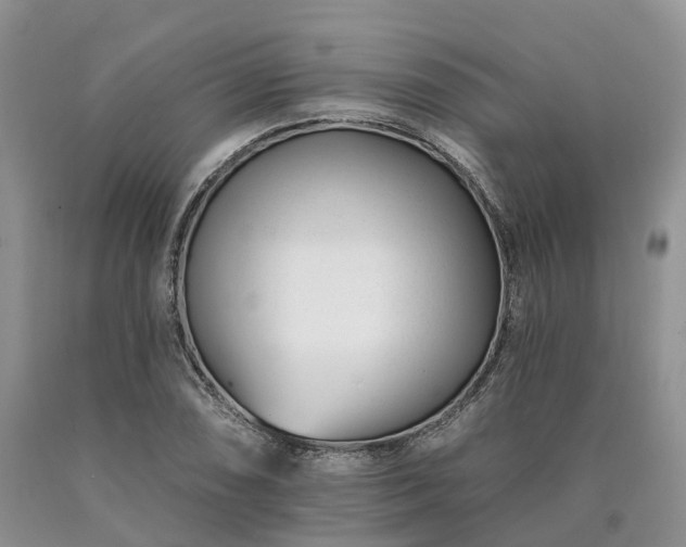 X0000090481074200707201411