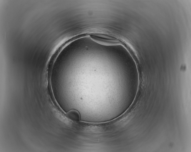 X0000090481075200707201411