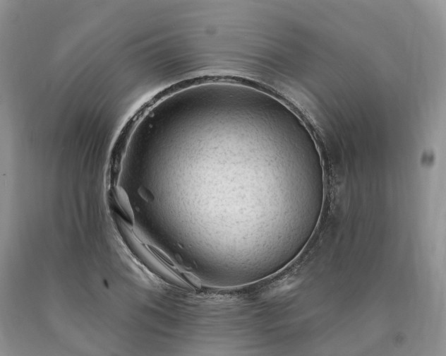 X0000090481076200707201411