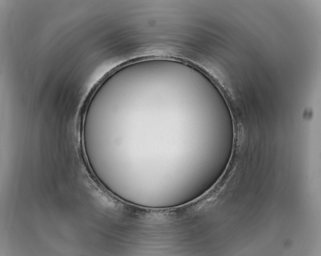 X0000090481078200707201411