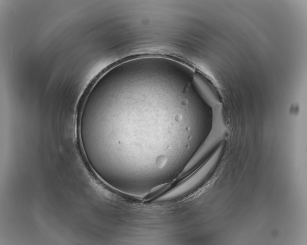 X0000090481079200707201410