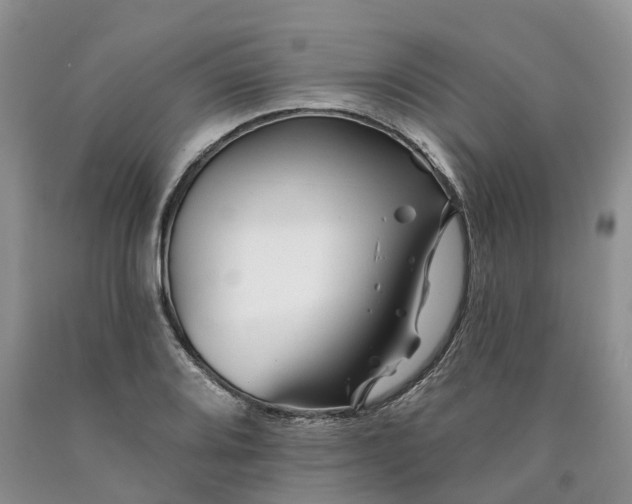 X0000090481080200707201410