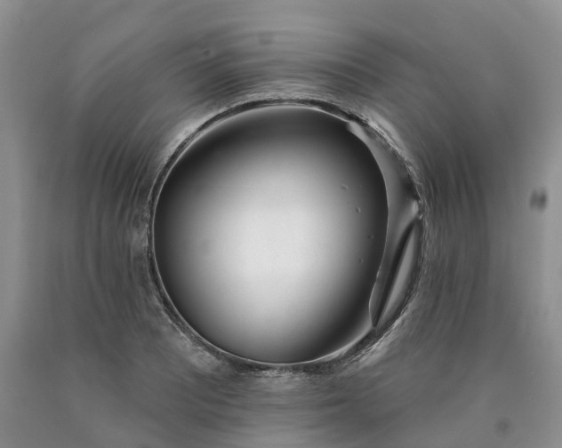 X0000090481081200707201410